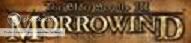 The Official Morrowind Guild banner