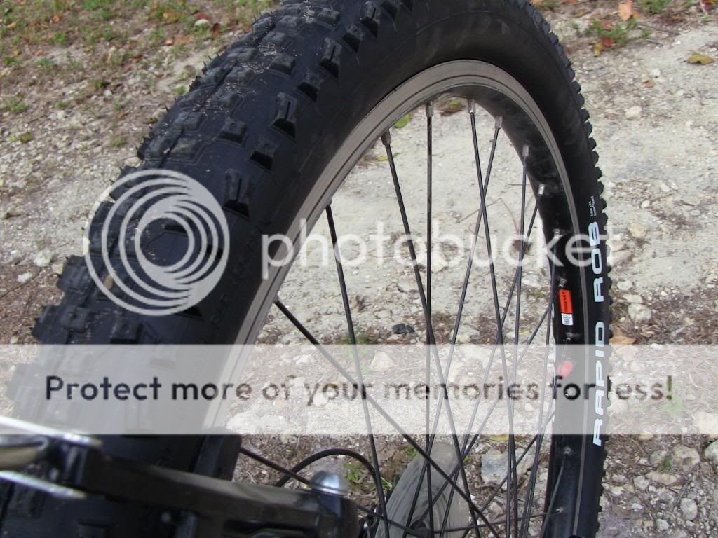 29" X 2.10 29ER SCHWALBE RAPID ROB Bike Cycle Tyre INNER TUBE 