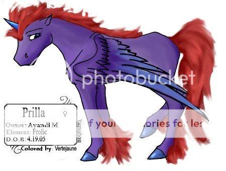 User Image