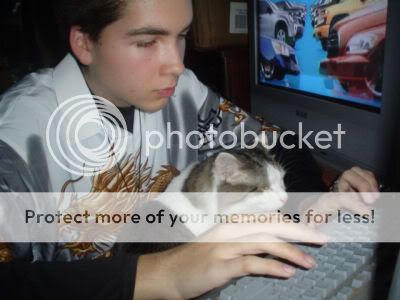 User Image